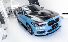 画像6: BMW 1シリーズ F20 ボンネット用GTS仕様 エンジンフード (6)